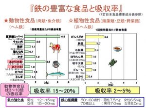 食べ物ごとに含まれる鉄の量を動物性と植物性に分けて紹介しています。