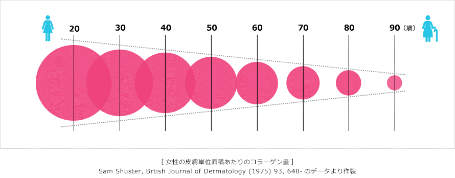 年齢を経るごとに体内のコラーゲンの量が減ることを示しています