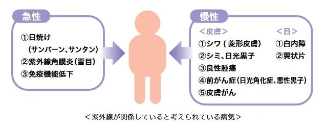 紫外線によって起こる病気を表しています