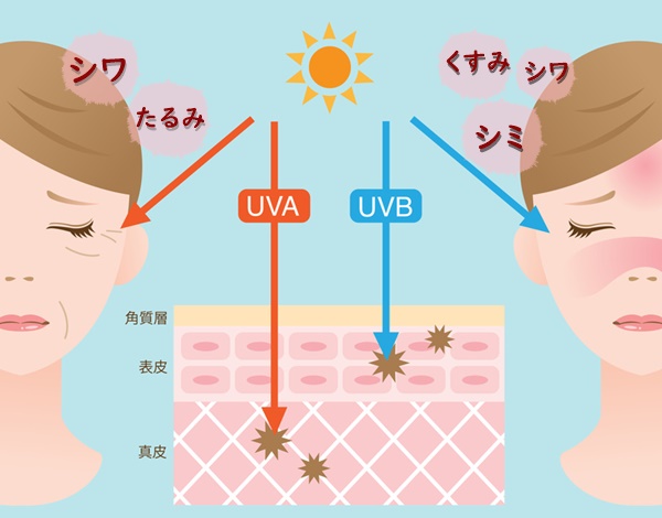 紫外線A波はシワ、たるみの原因になり、紫外線B波はシミ、くすみ、シワの原因になります